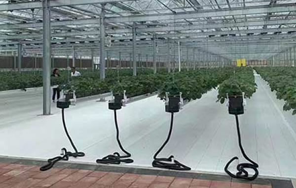 壹定发(中国游)官方网站